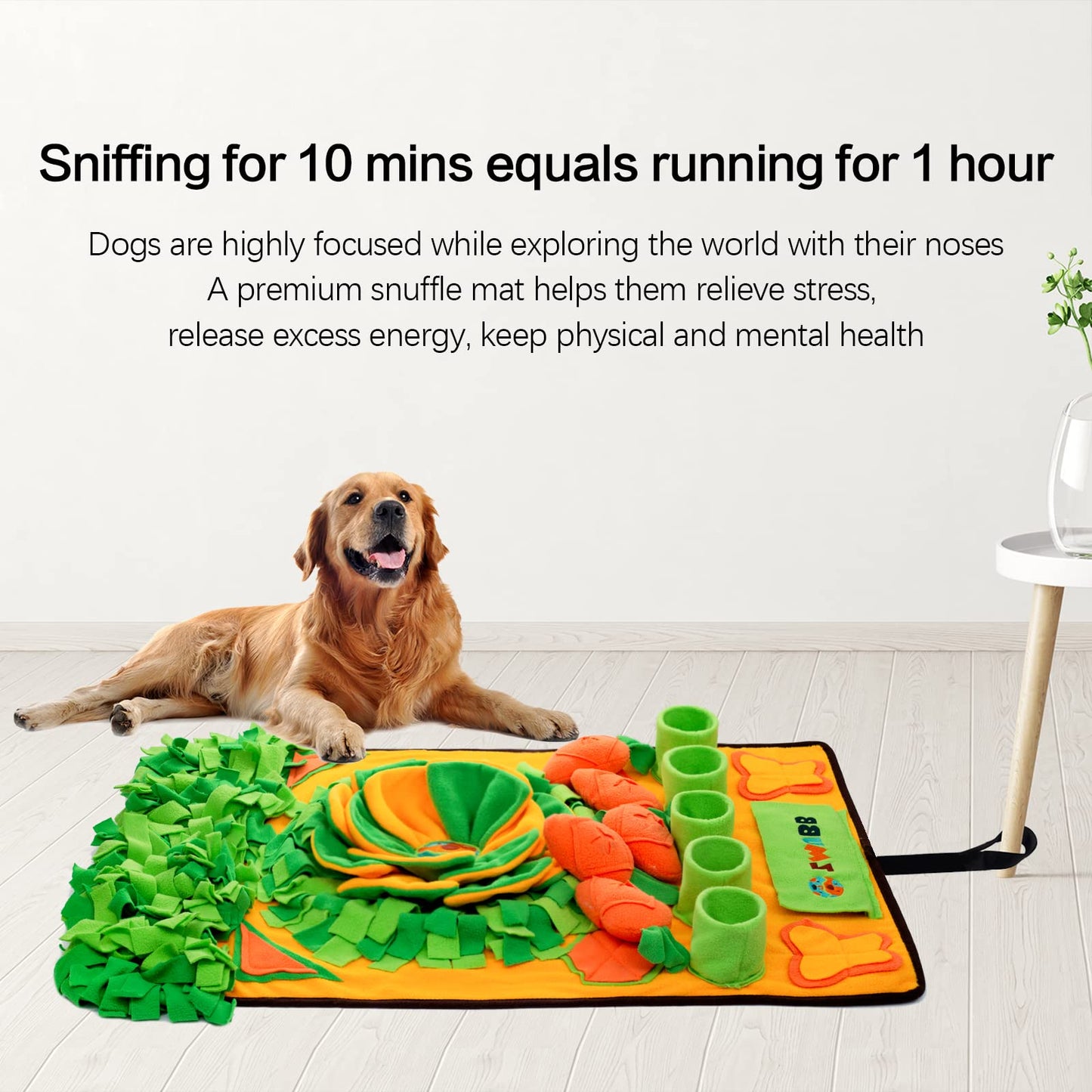Pet Snuffle Mat for Dogs - Interactive Feeding Mat