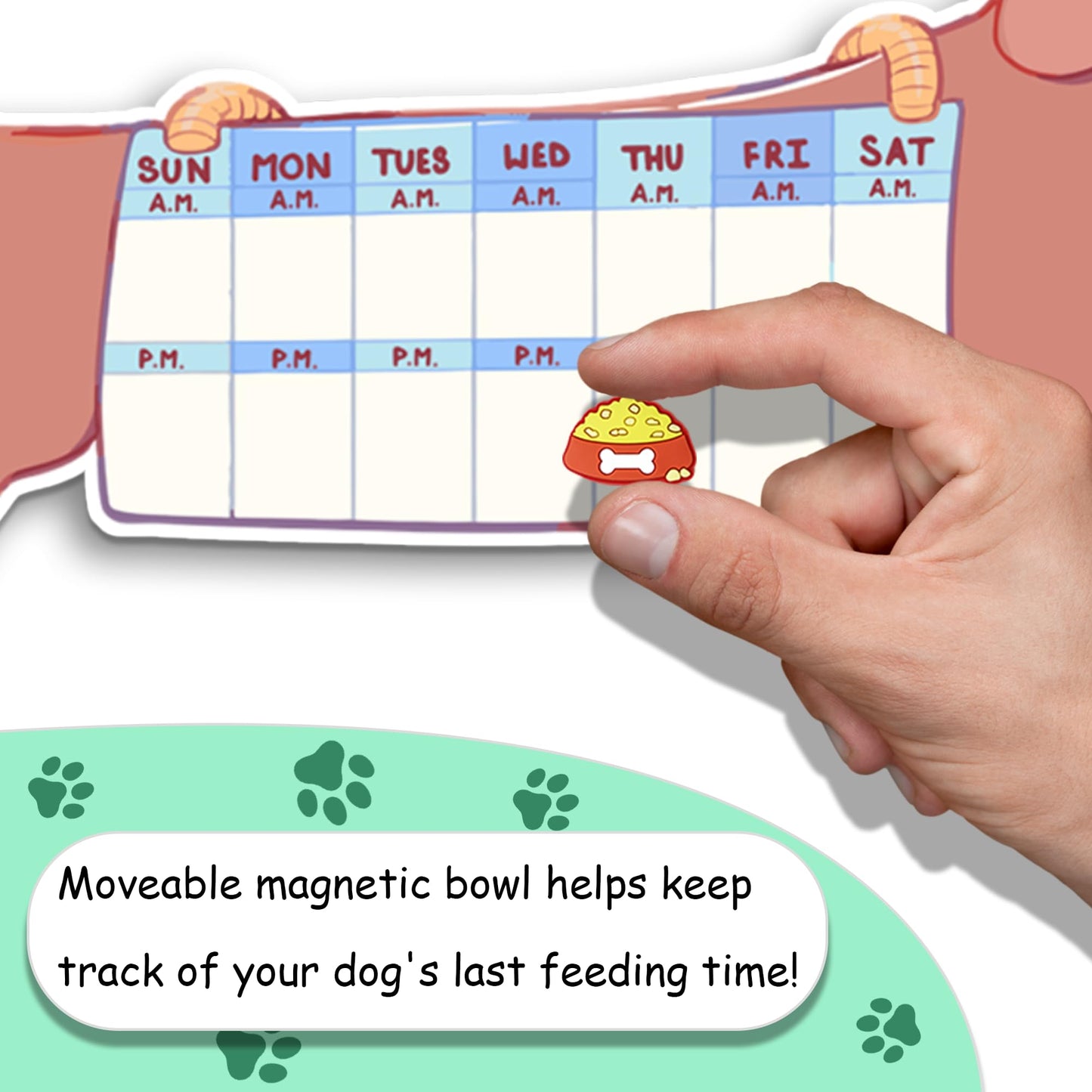 Dog Feeding Reminder Magnet - AM/PM Chart