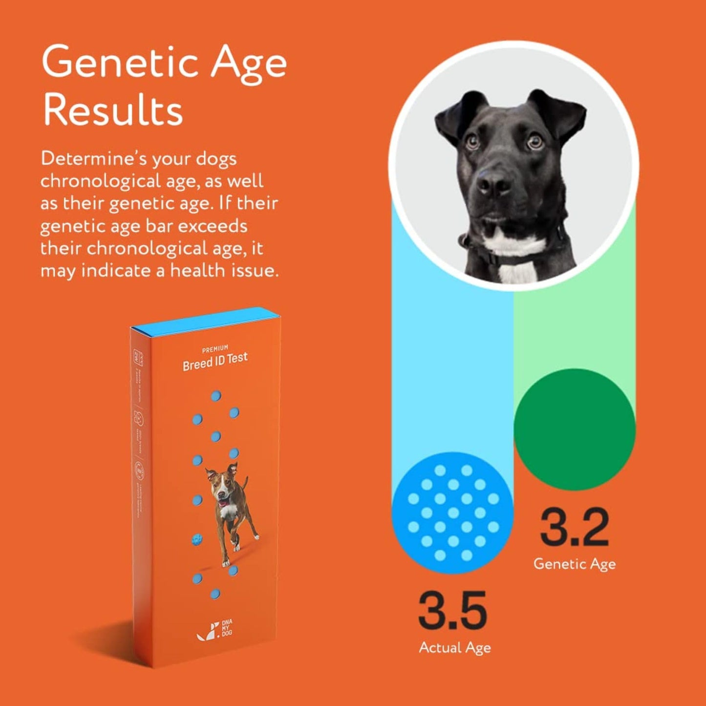 Premium Dog DNA Test - Breed ID & Genetic Age