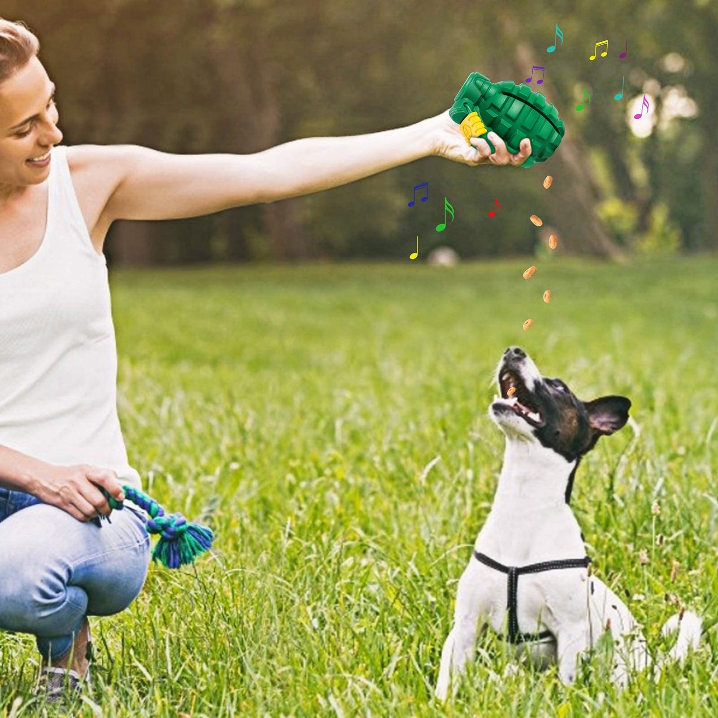 Indestructible Dog Chew Toy - Large Breed Durable
