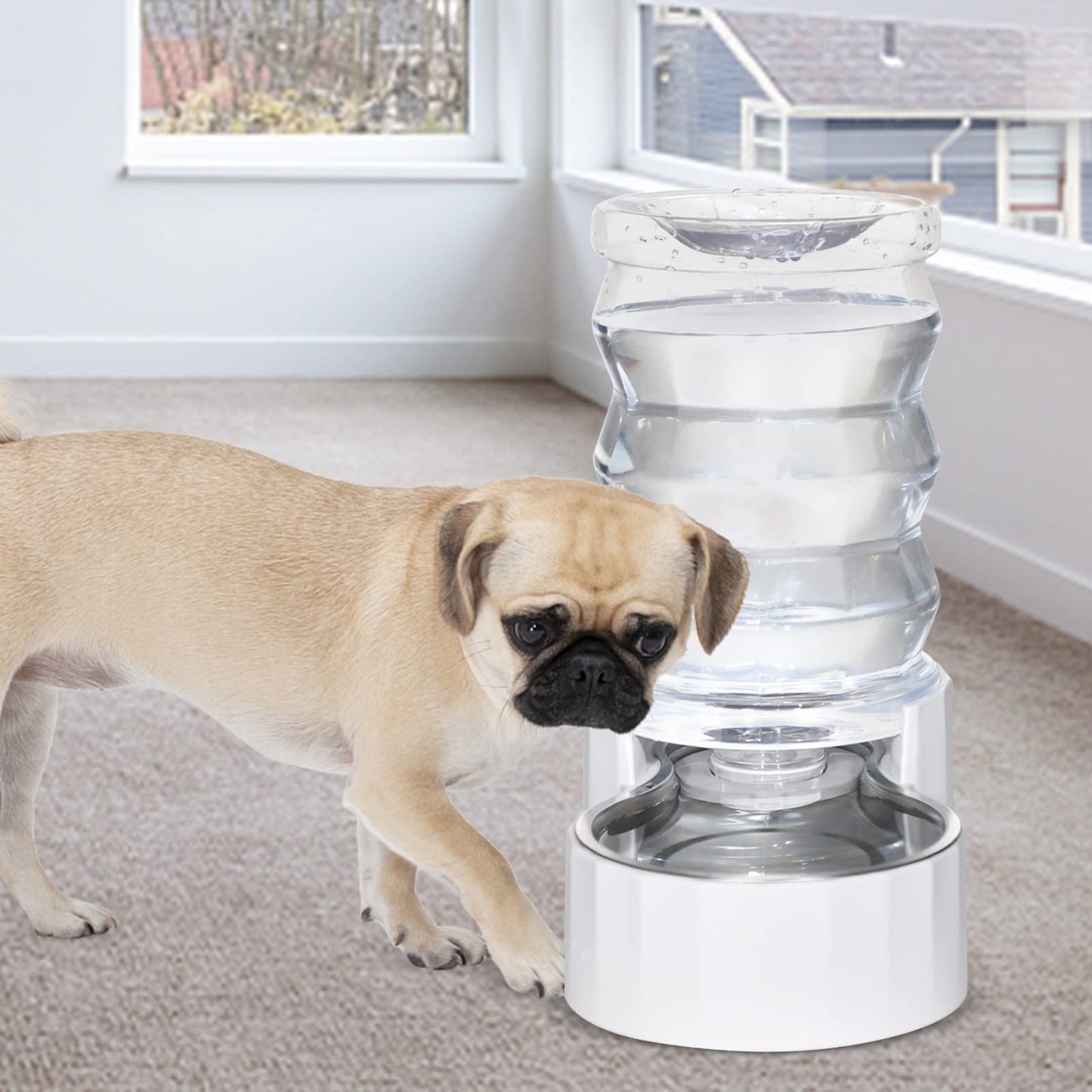 RIZZARI Automatic Pet Water Dispenser
