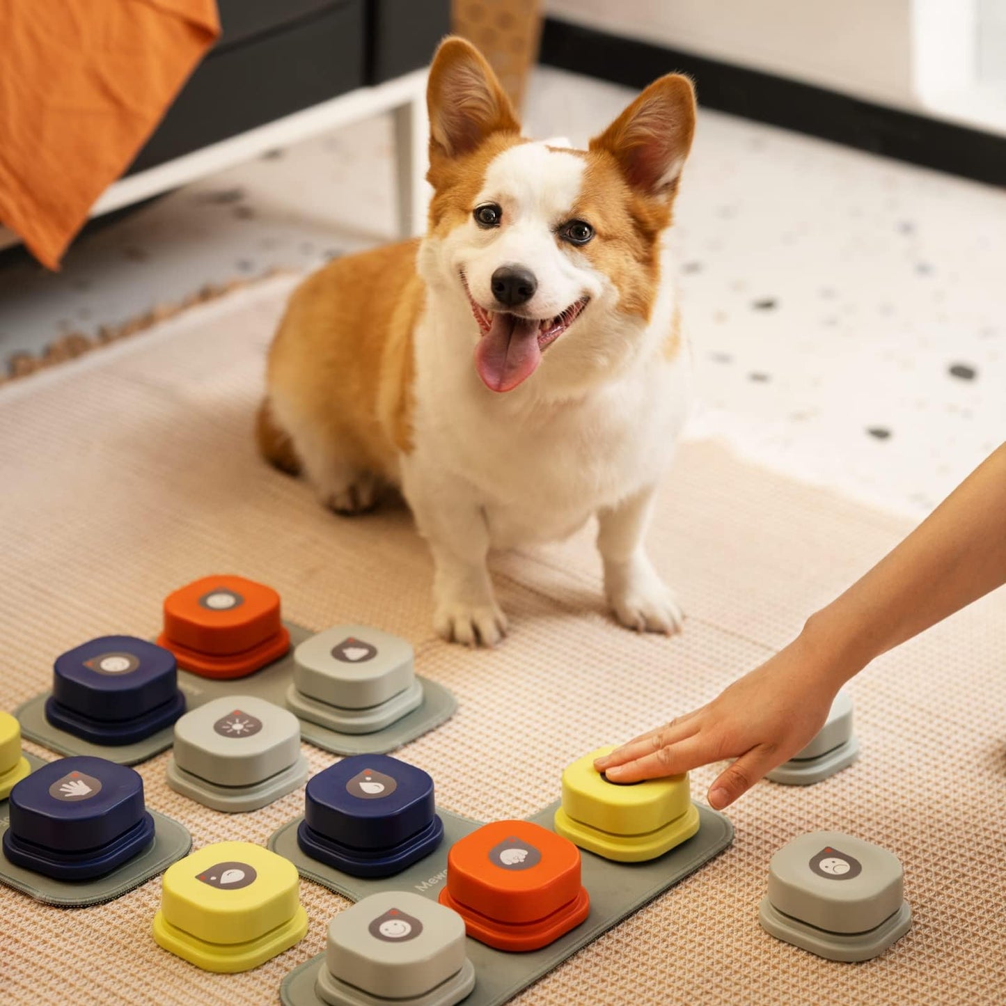 Dog Talking Buttons Set - 9 Pack