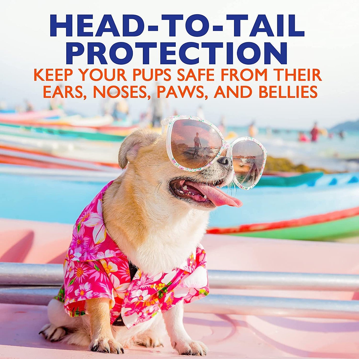 Dog Sunscreen Spray - Safe for All Breeds, 8 oz