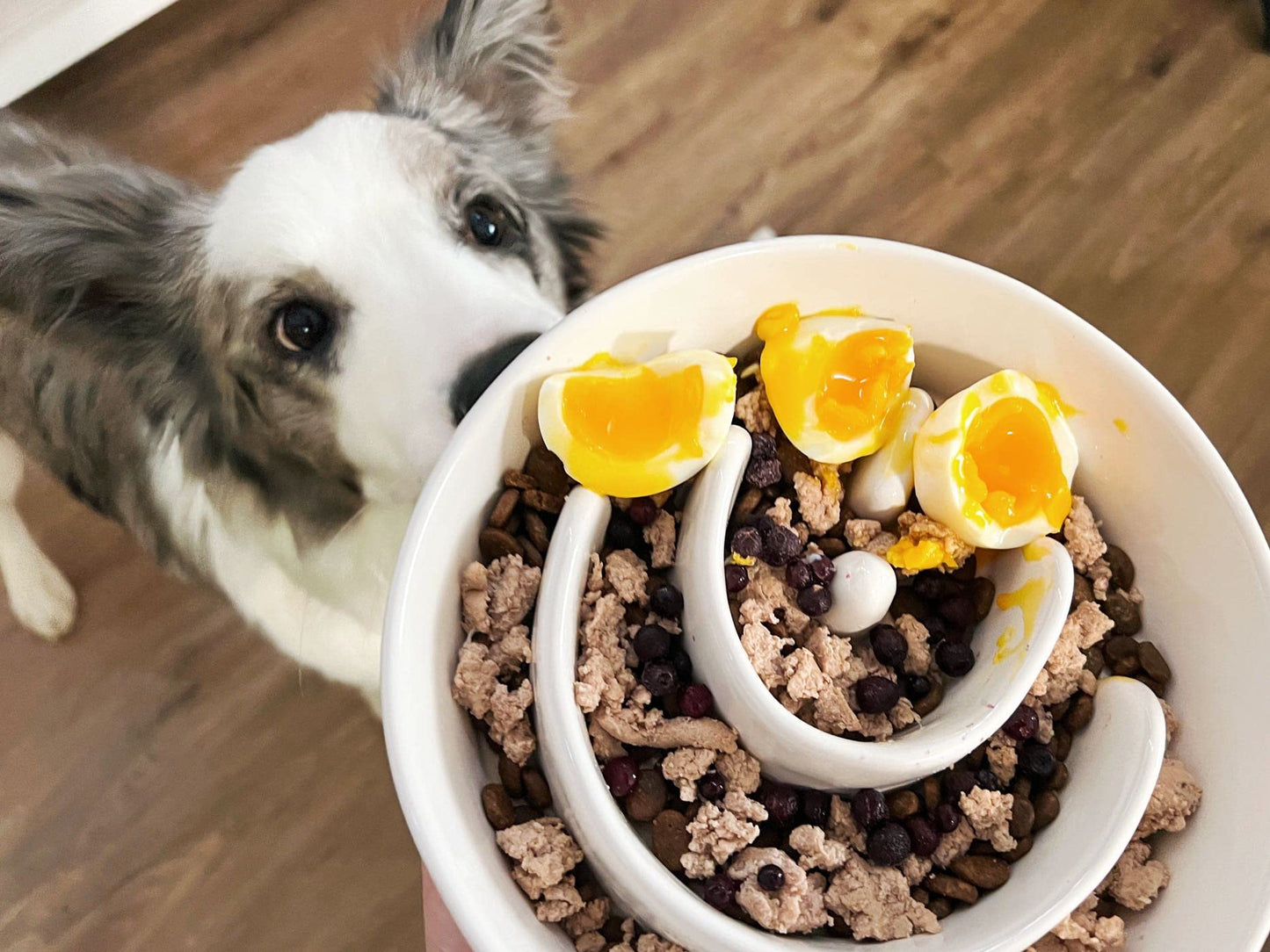 Ceramic Slow Feeder Bowl - Puzzle Maze