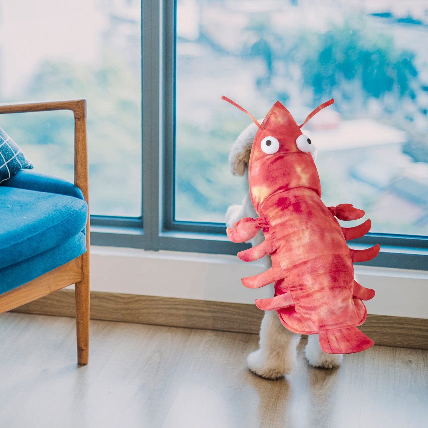 Funny Dog Lobster Costume - Small, S