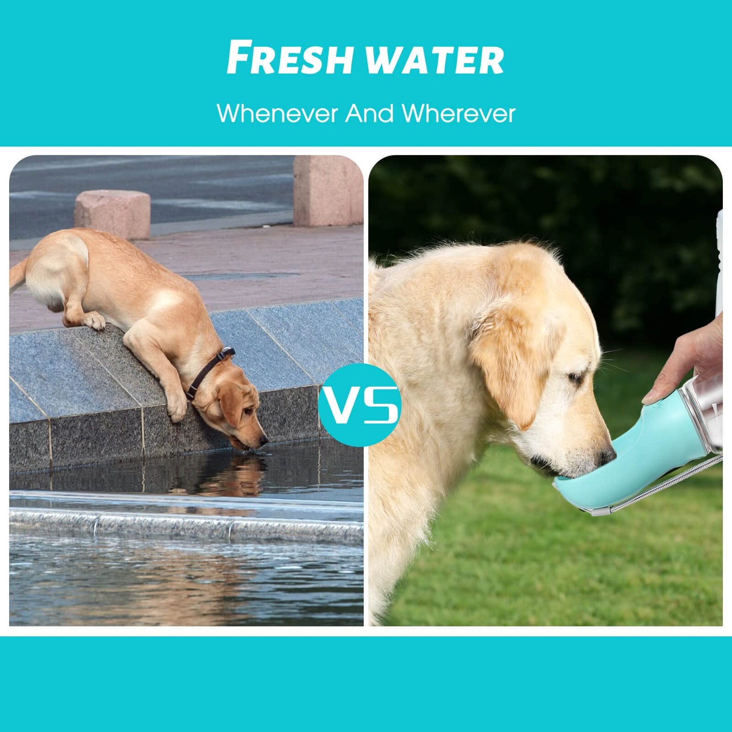 Portable Dog Water Bottle - 19oz, Blue