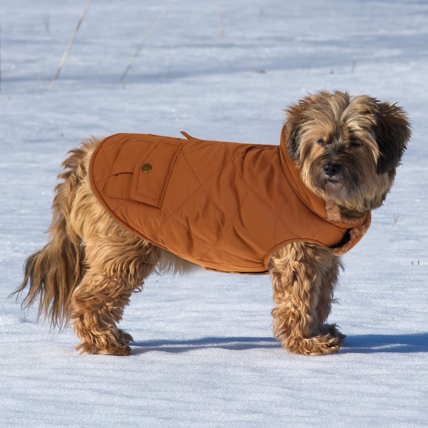Cozy Sherpa-Lined Dog Jacket