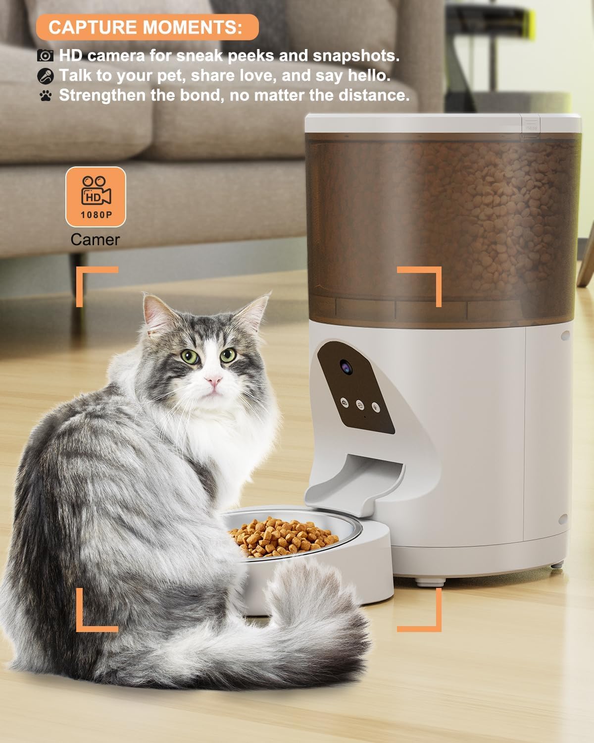 Smart Automatic Cat and Smal Dog Feeder with WiFi Control