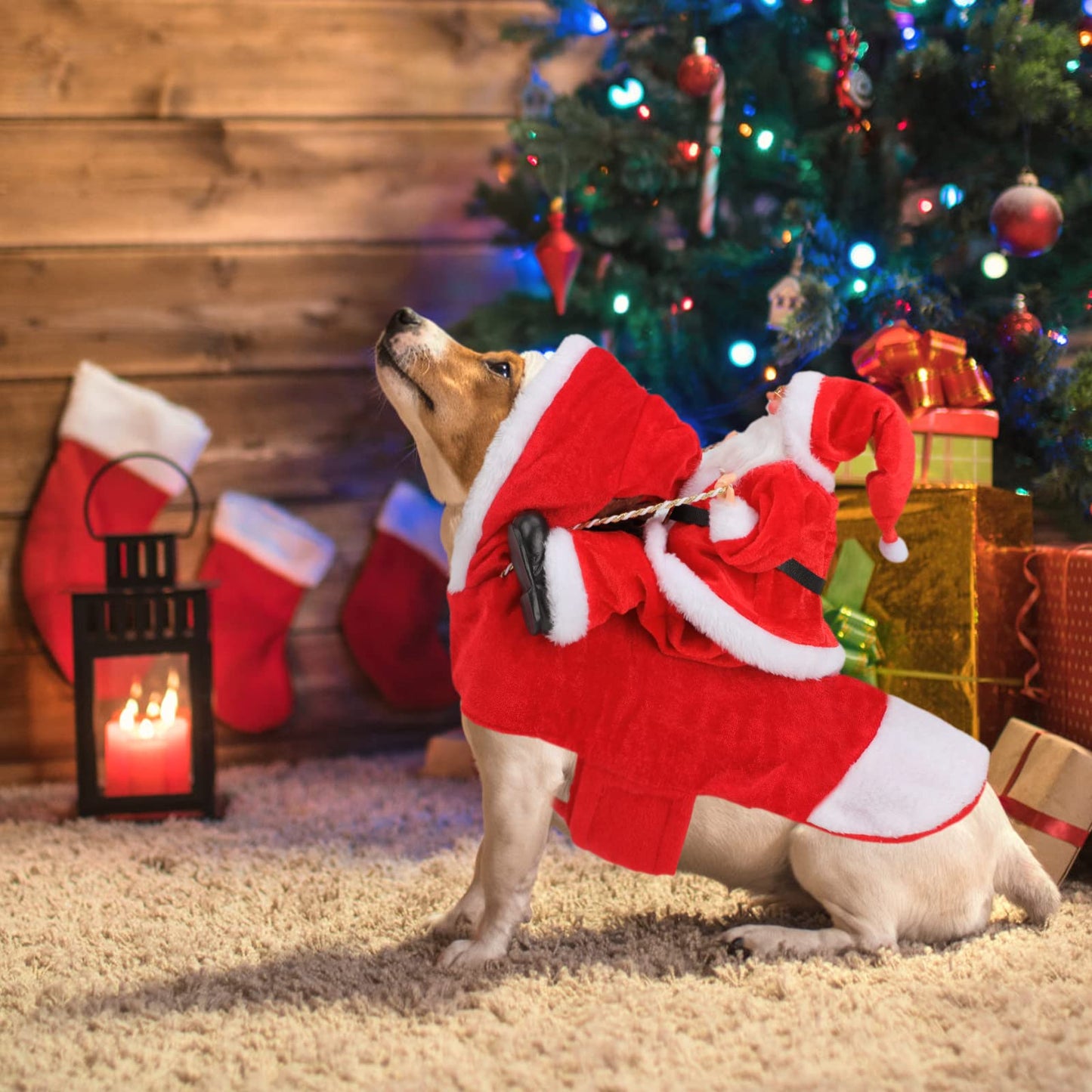 Santa Dog Costume - Christmas Pet Outfit