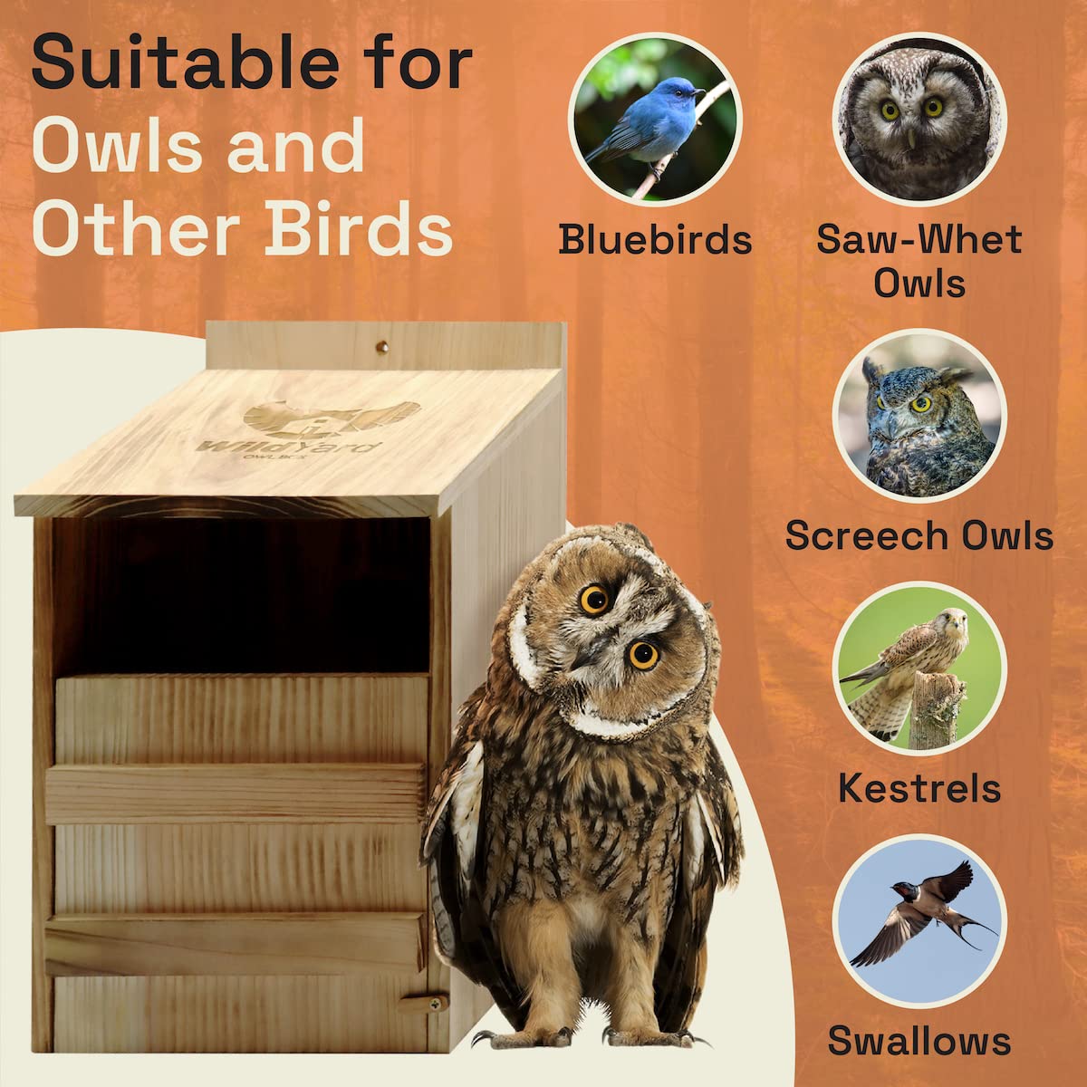 Owl House - Real Wood, Easy to Hang