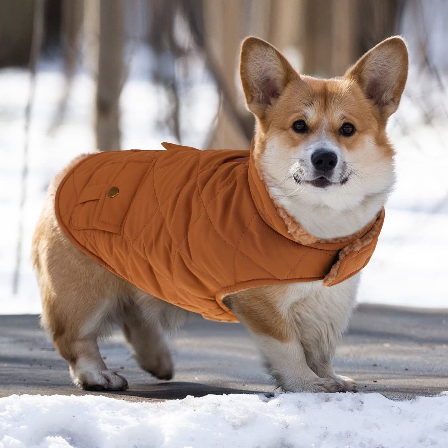 Cozy Sherpa-Lined Dog Jacket