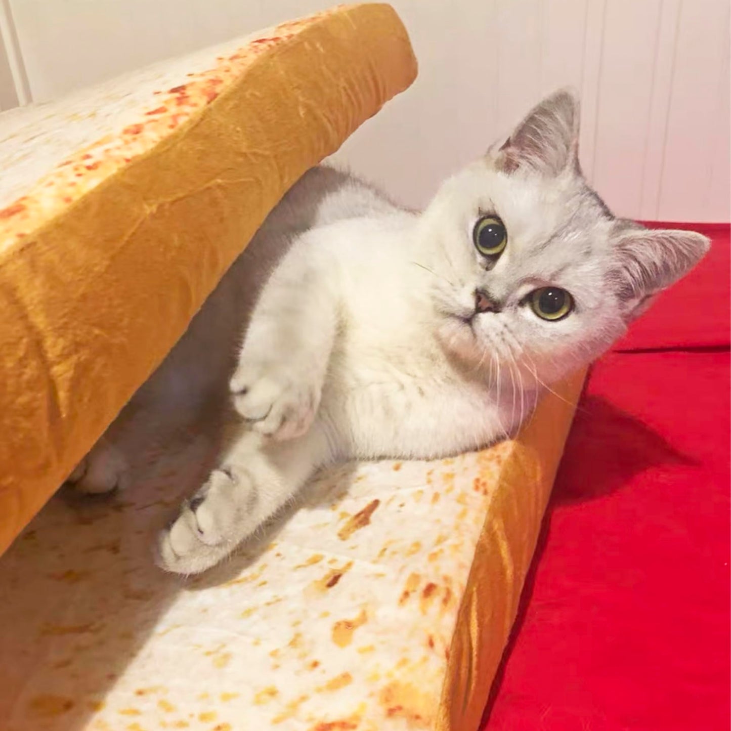 Toast Bread Slice Cat Bed