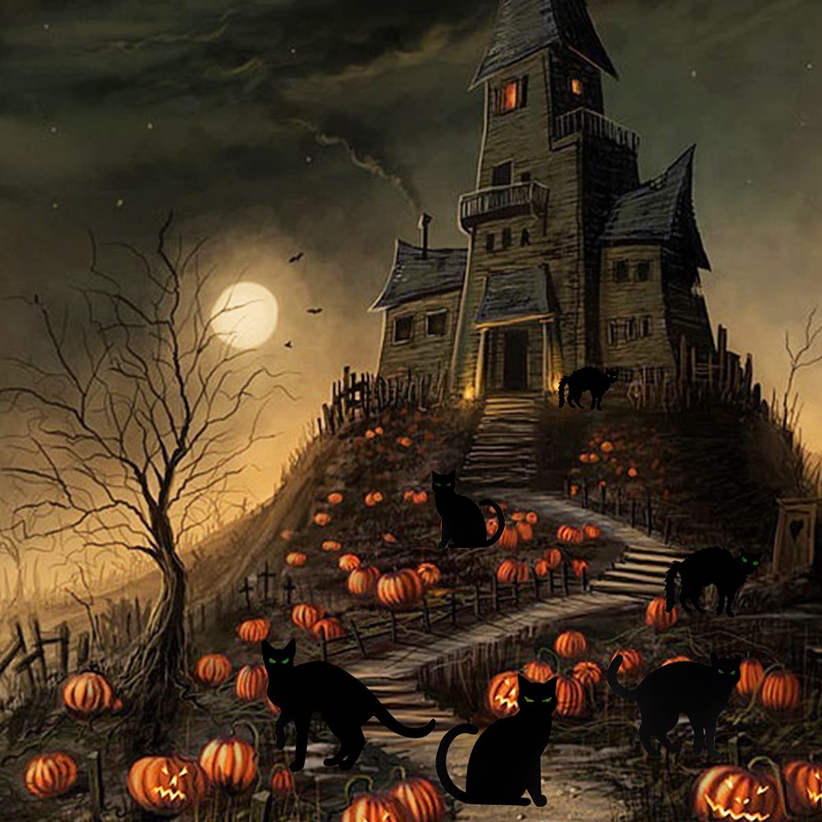 Halloween Cat Yard Signs - 6 Pack