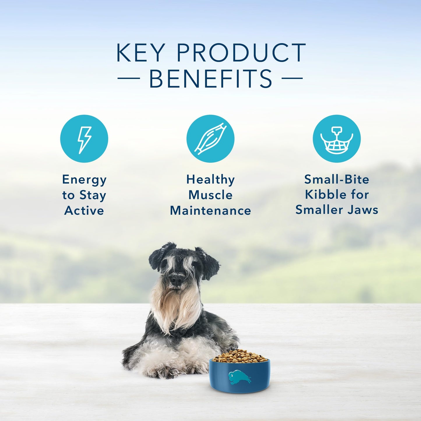 Life Protection Formula Natural Senior Small Breed Dry Dog Food
