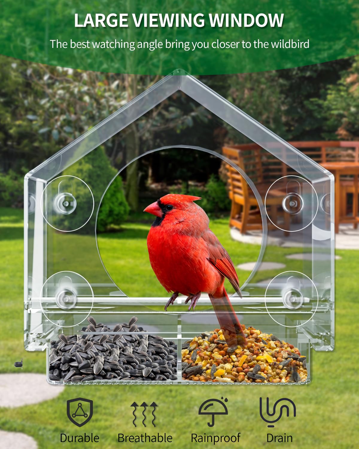 Clear View Window Bird Feeder - Strong Suction Cups