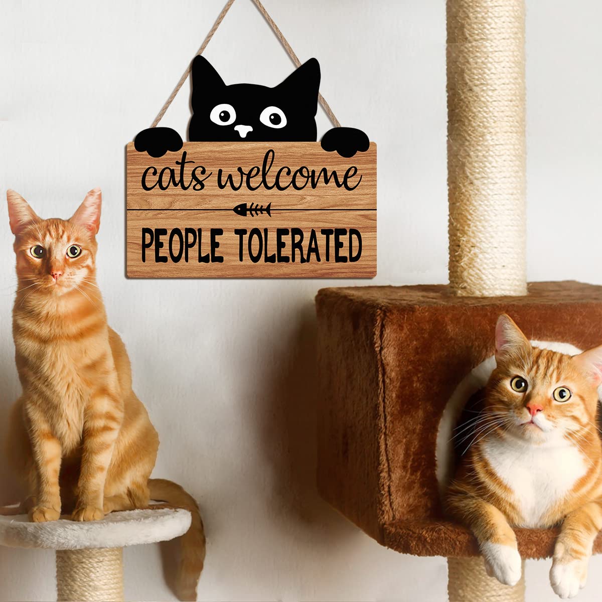 Funny Cat Welcome Sign - Black Cat Decor