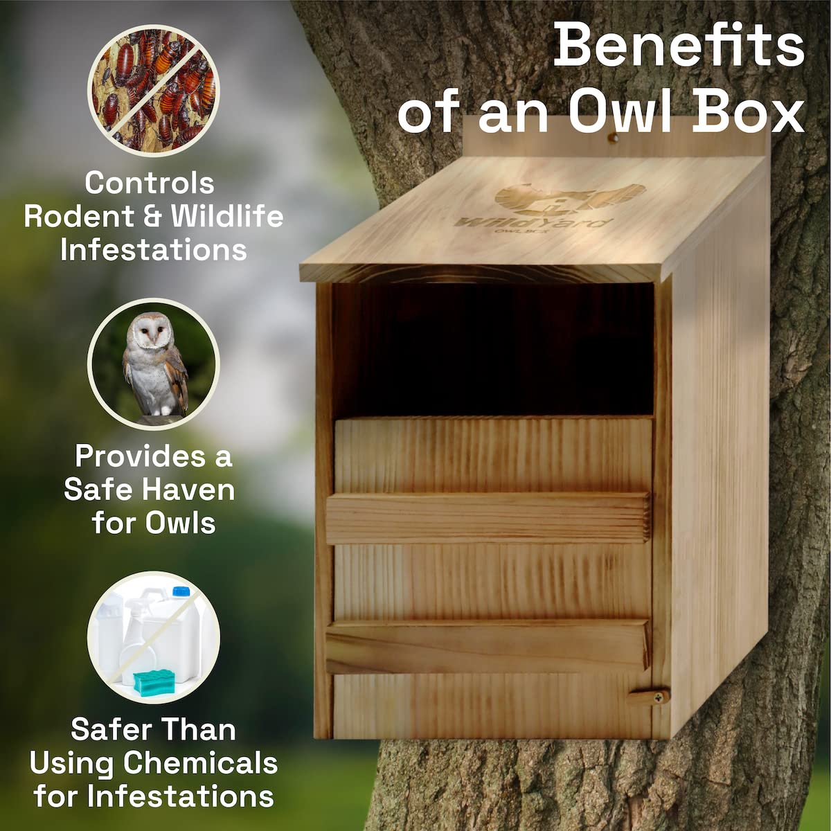 Owl House - Real Wood, Easy to Hang