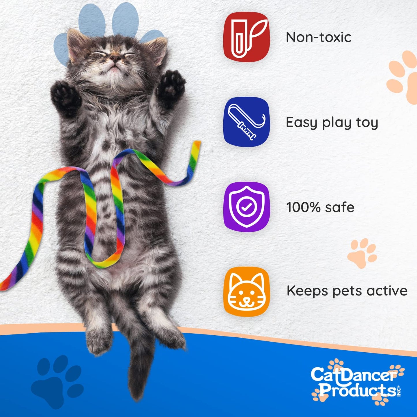 Rainbow Cat Charmer
