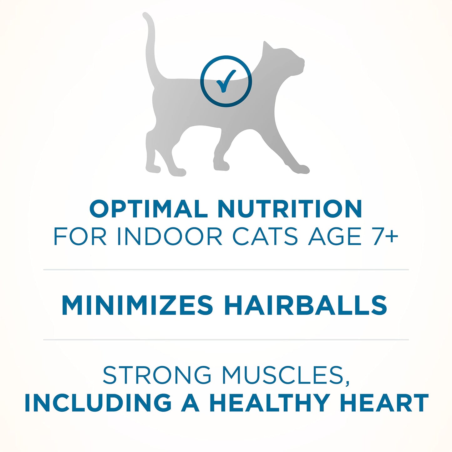 High Protein, Natural Senior Dry Cat Food