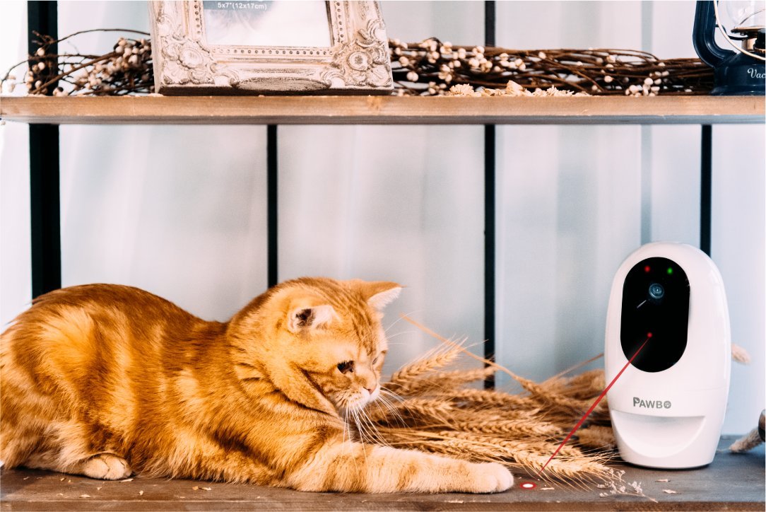 Pawbo Life Pet Camera with Treat Dispenser
