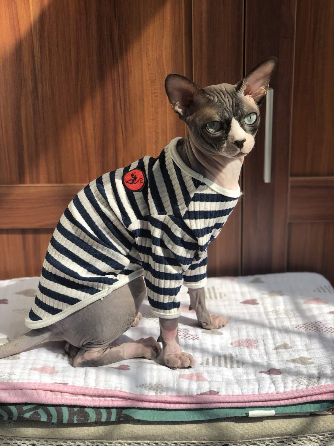 Hairless Cat Shirt - Soft & Skin-Friendly