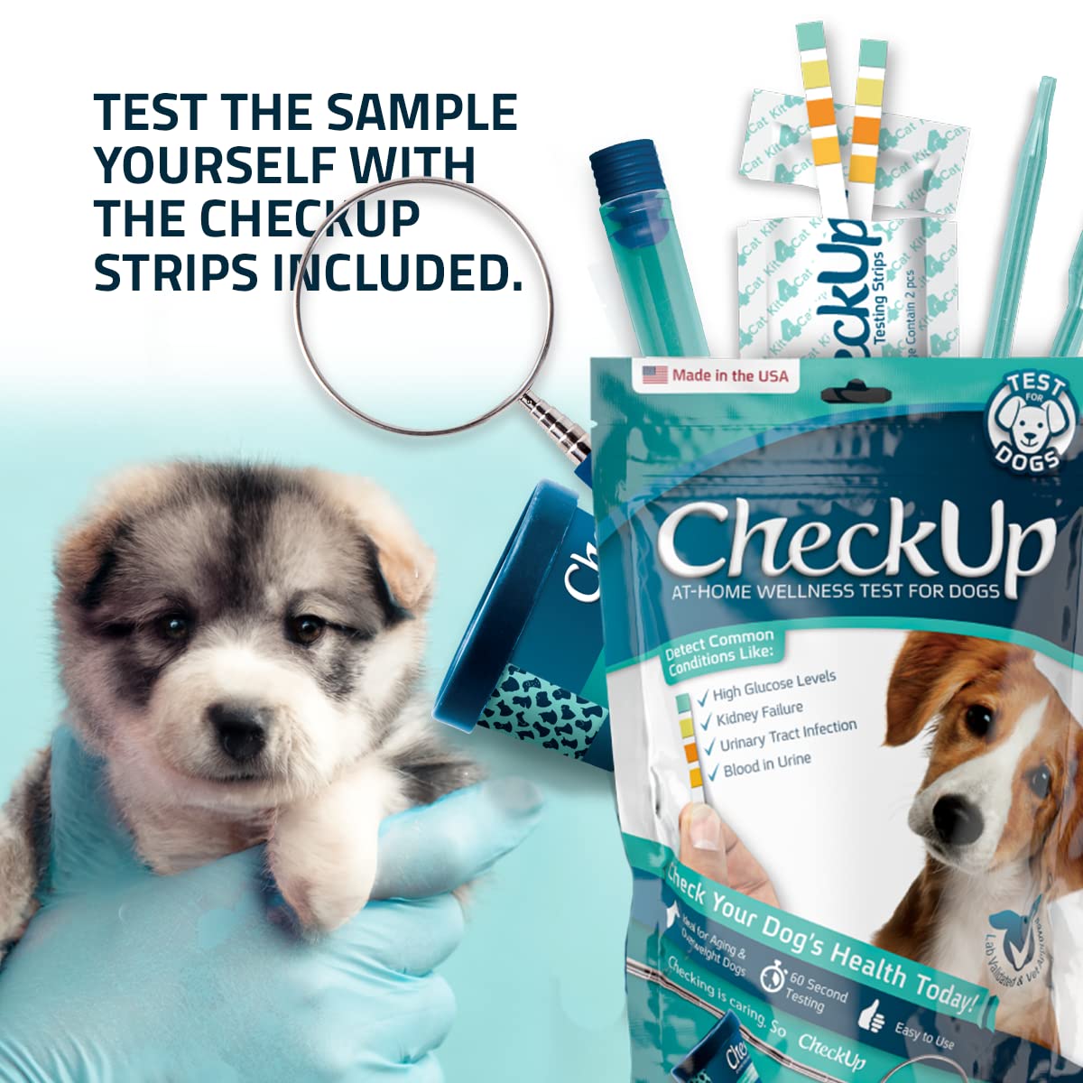 Dog Wellness Test Kit - Home Urine Collection