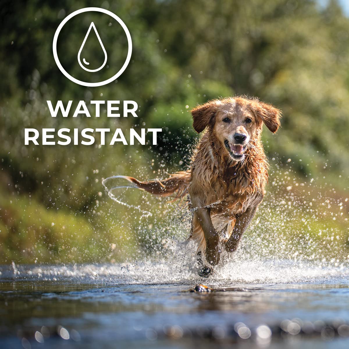 Hip + Joint Mobility Collar for Dogs with Glucosamine, Chondroitin, MSM, and More