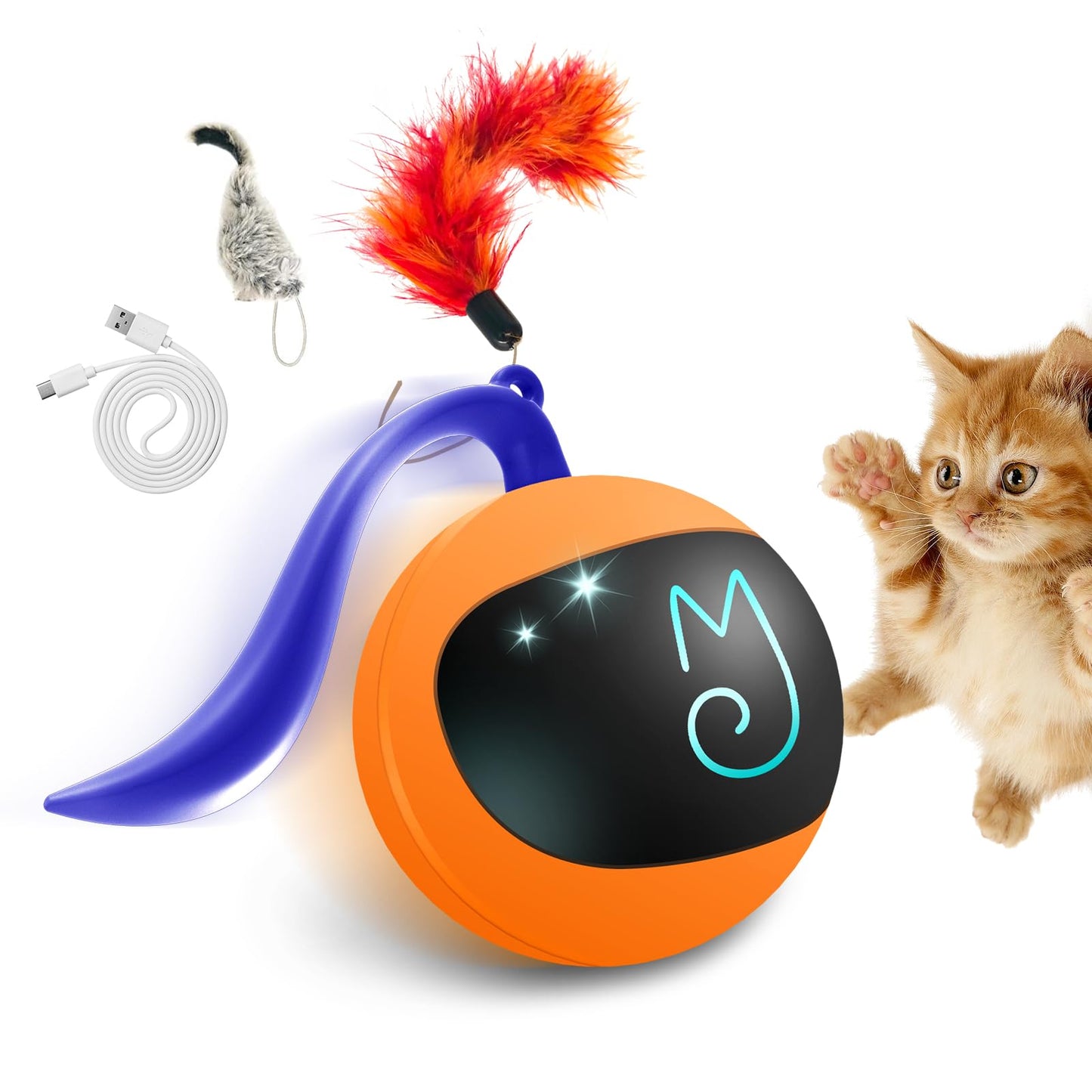 Interactive Cat Toy Set