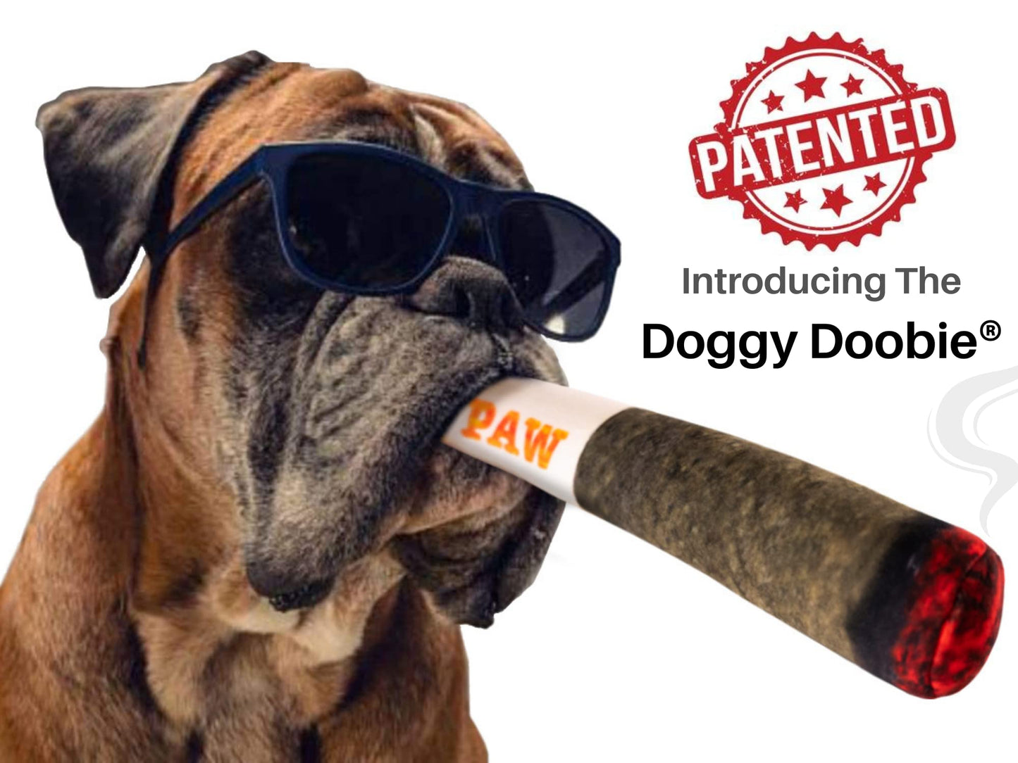 Doggy Doobie Plush Squeaky Toy