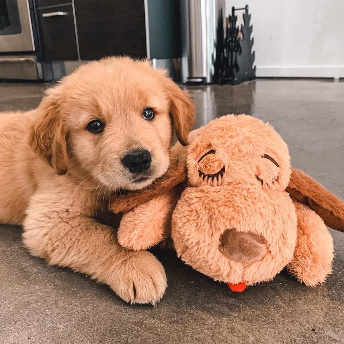Snuggle Puppy Starter Kit - Biscuit Color