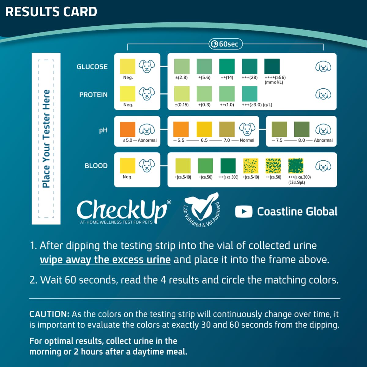 Dog Wellness Test Kit - Home Urine Collection
