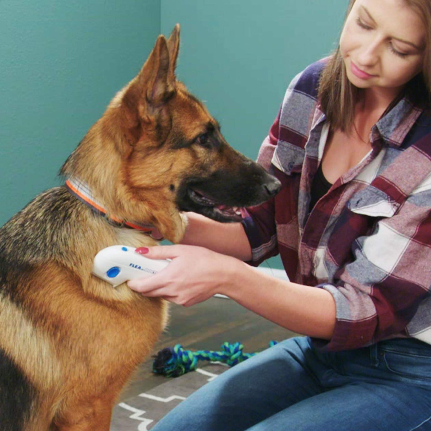 Electronic Flea Comb for Dogs & Cats
