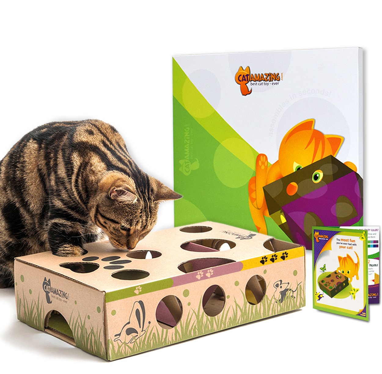 Interactive Cat Puzzle Feeder