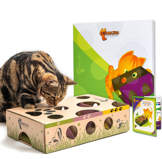Interactive Cat Puzzle Feeder