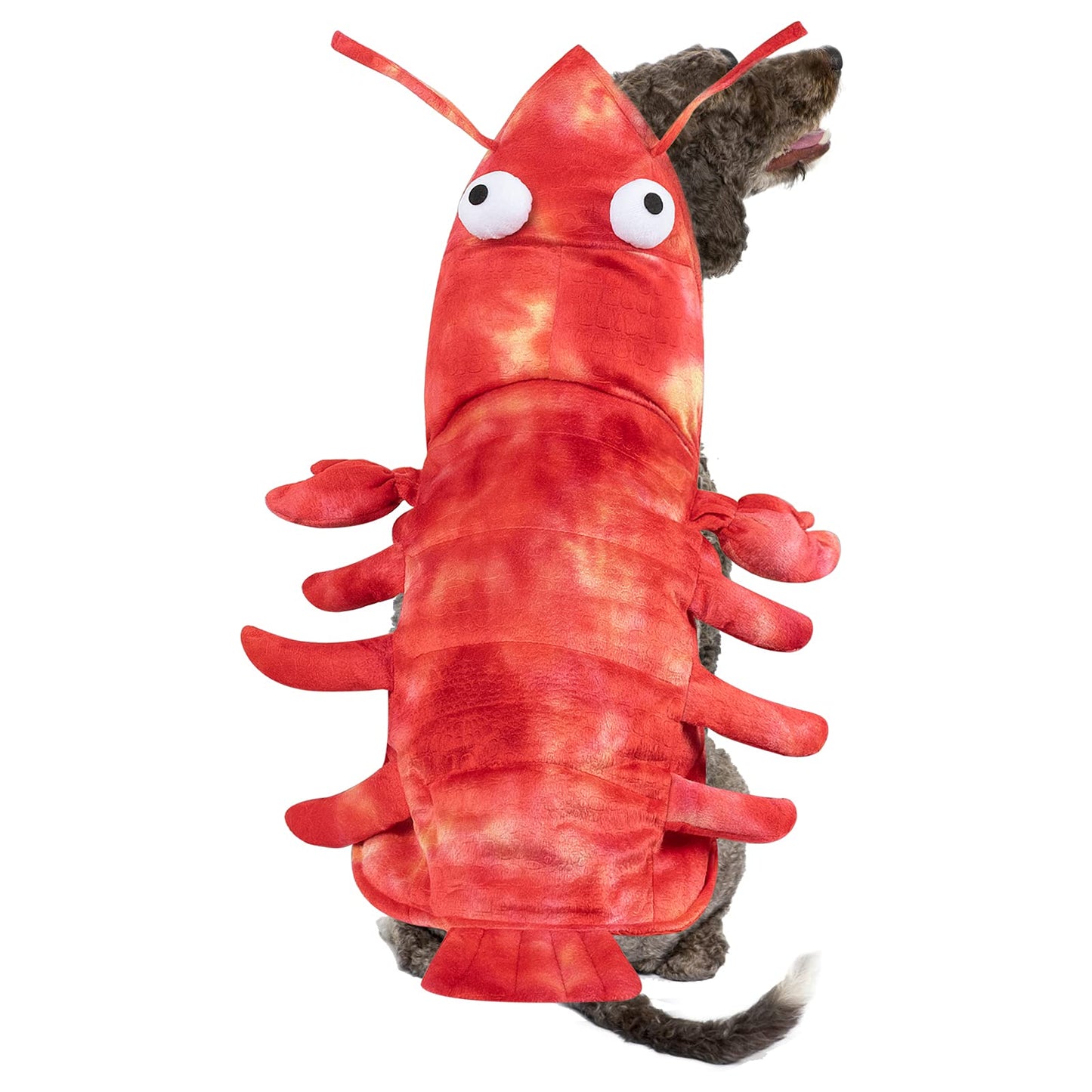 Funny Dog Lobster Costume - Small, S