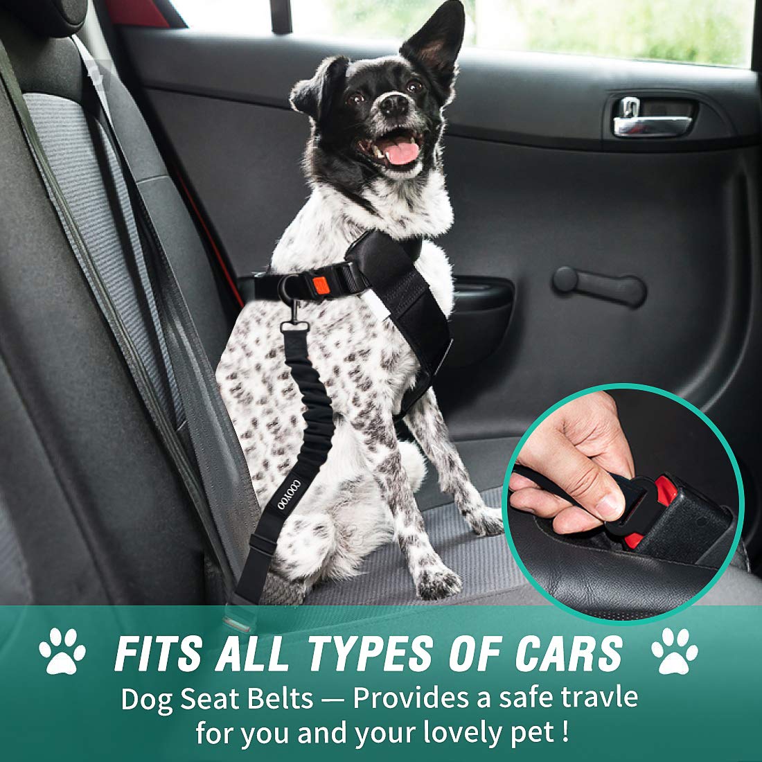 Dog Car Seat Belt - 3 Piece Set