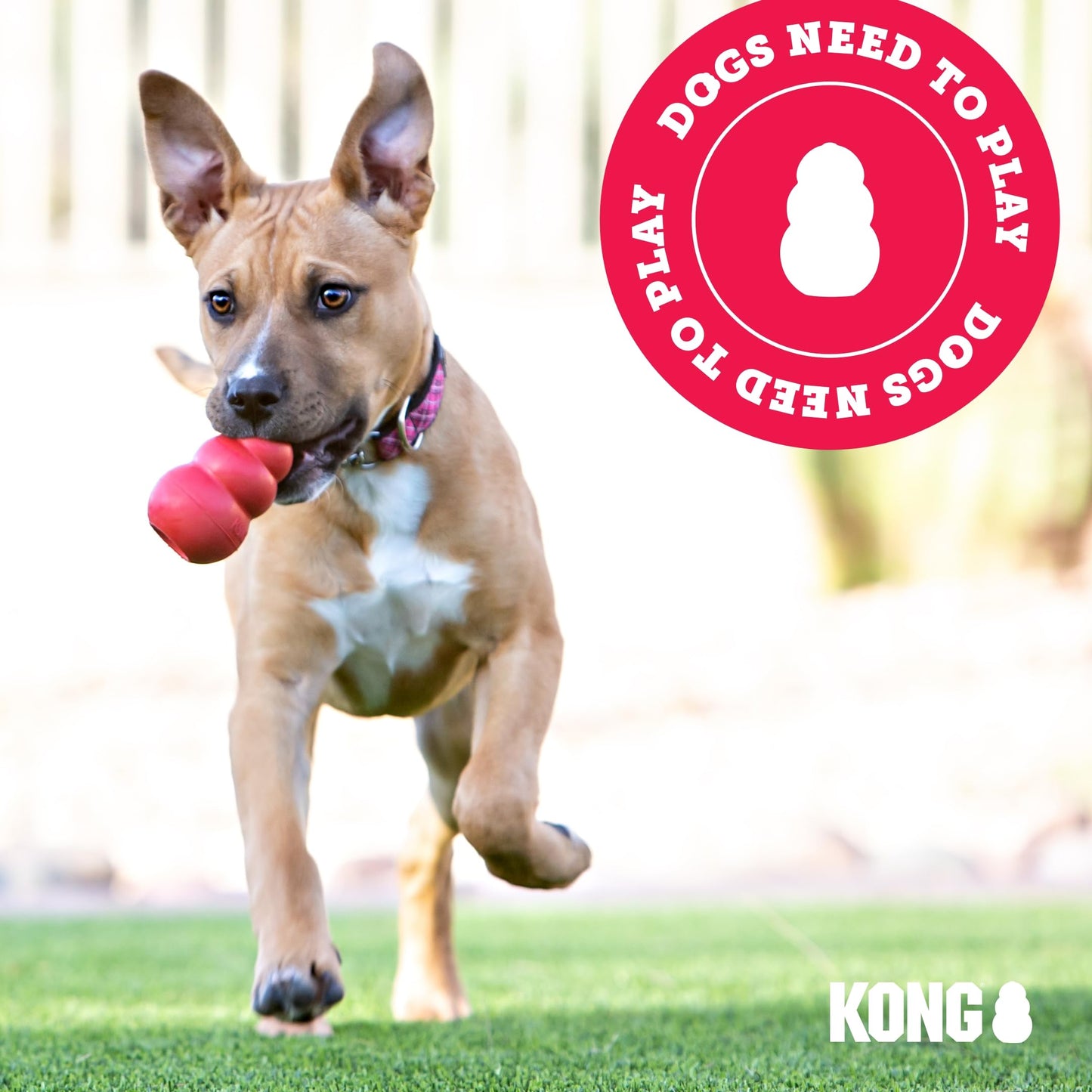 KONG Extreme Black Rubber Dog Toy