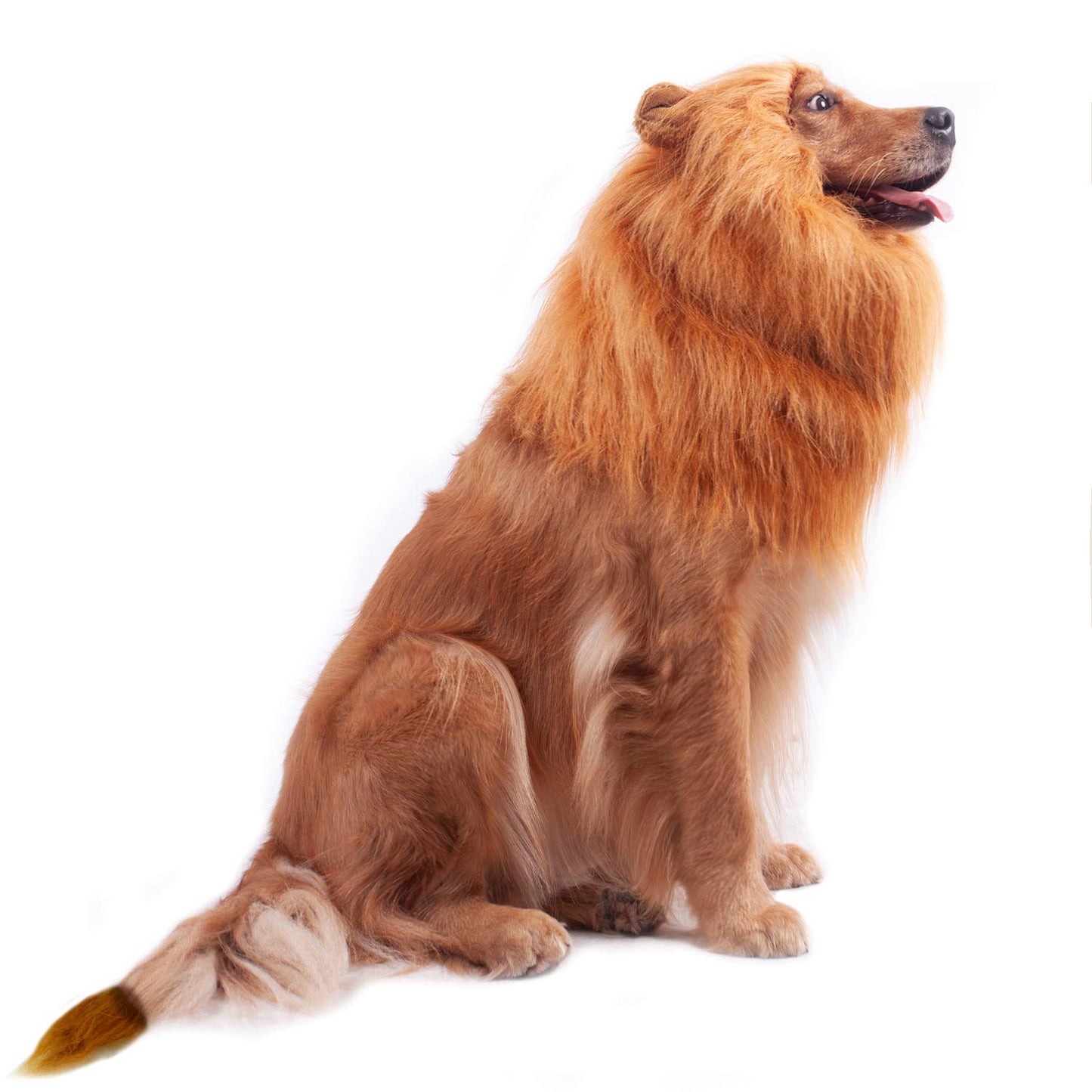 Lion Mane Dog Costume - Halloween & Christmas
