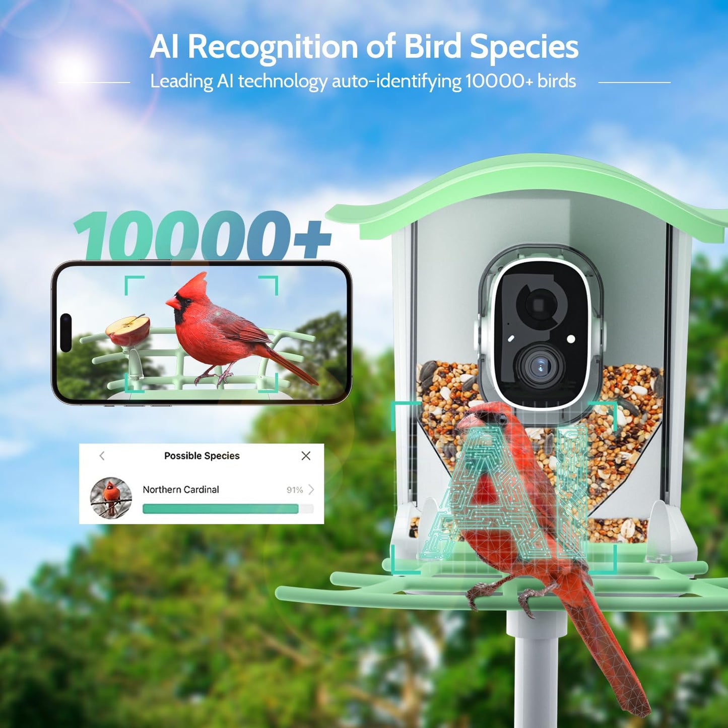 Bird Feeder with Camera & AI Species ID