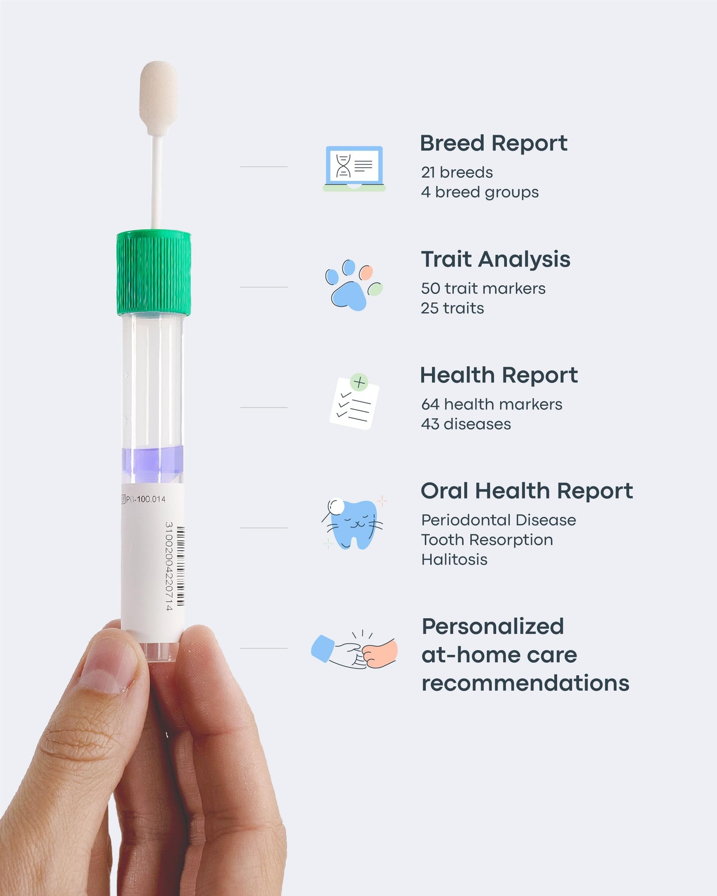 Cat DNA Test Kit - Comprehensive Analysis