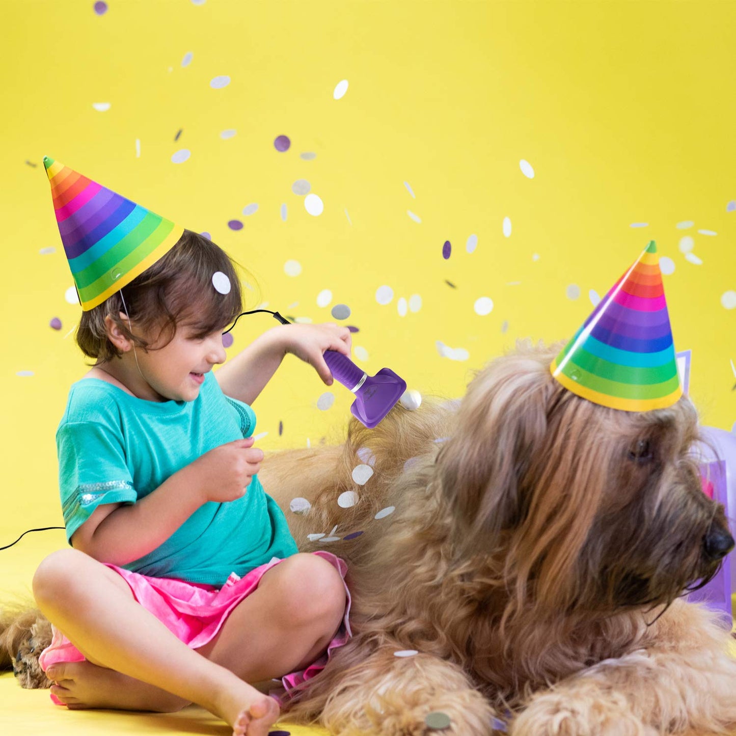 Pet Hair Brush and Hair Dryer Combo