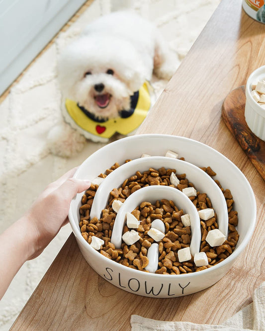 Ceramic Slow Feeder Bowl - Puzzle Maze