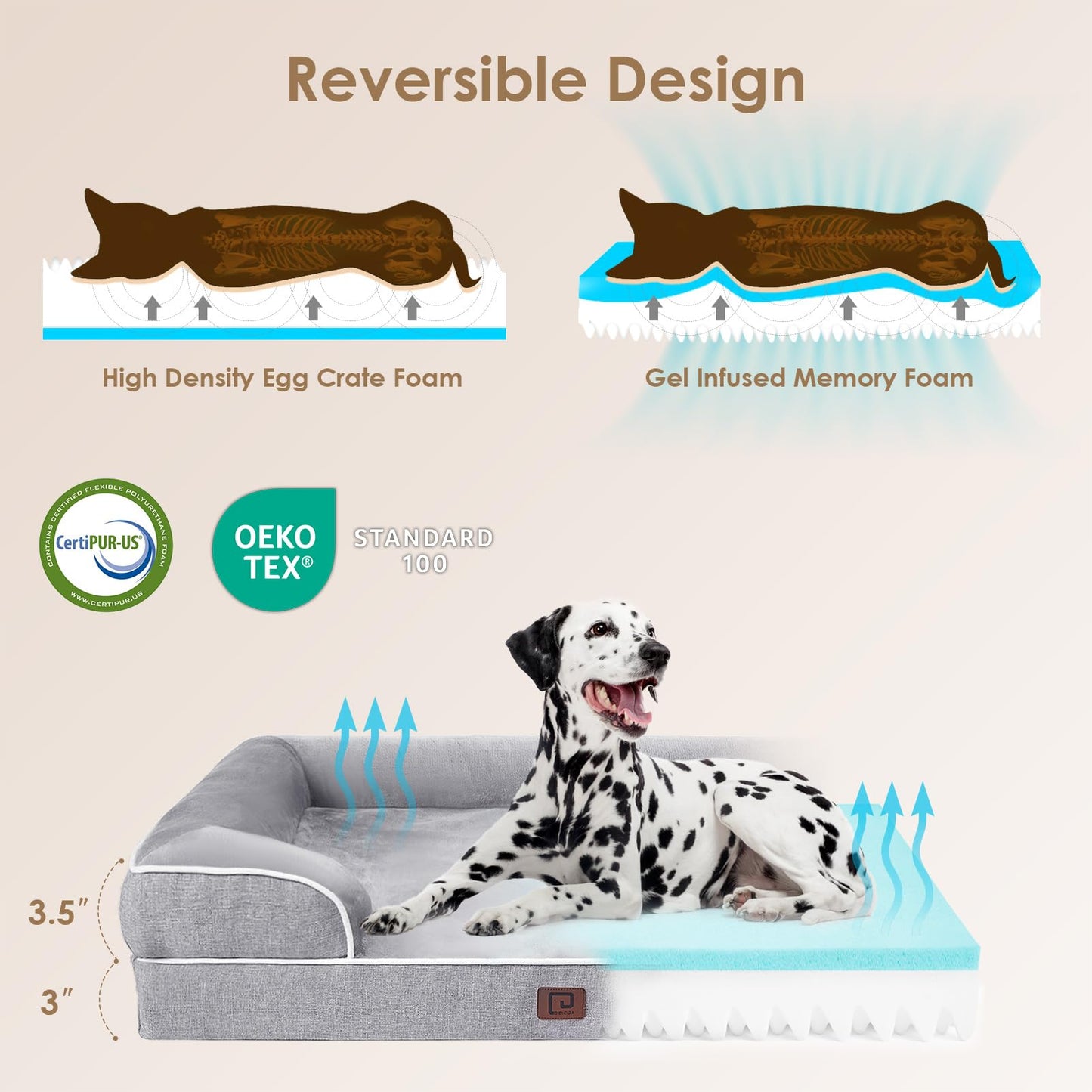 Orthopedic Dog Bed - XL Memory Foam