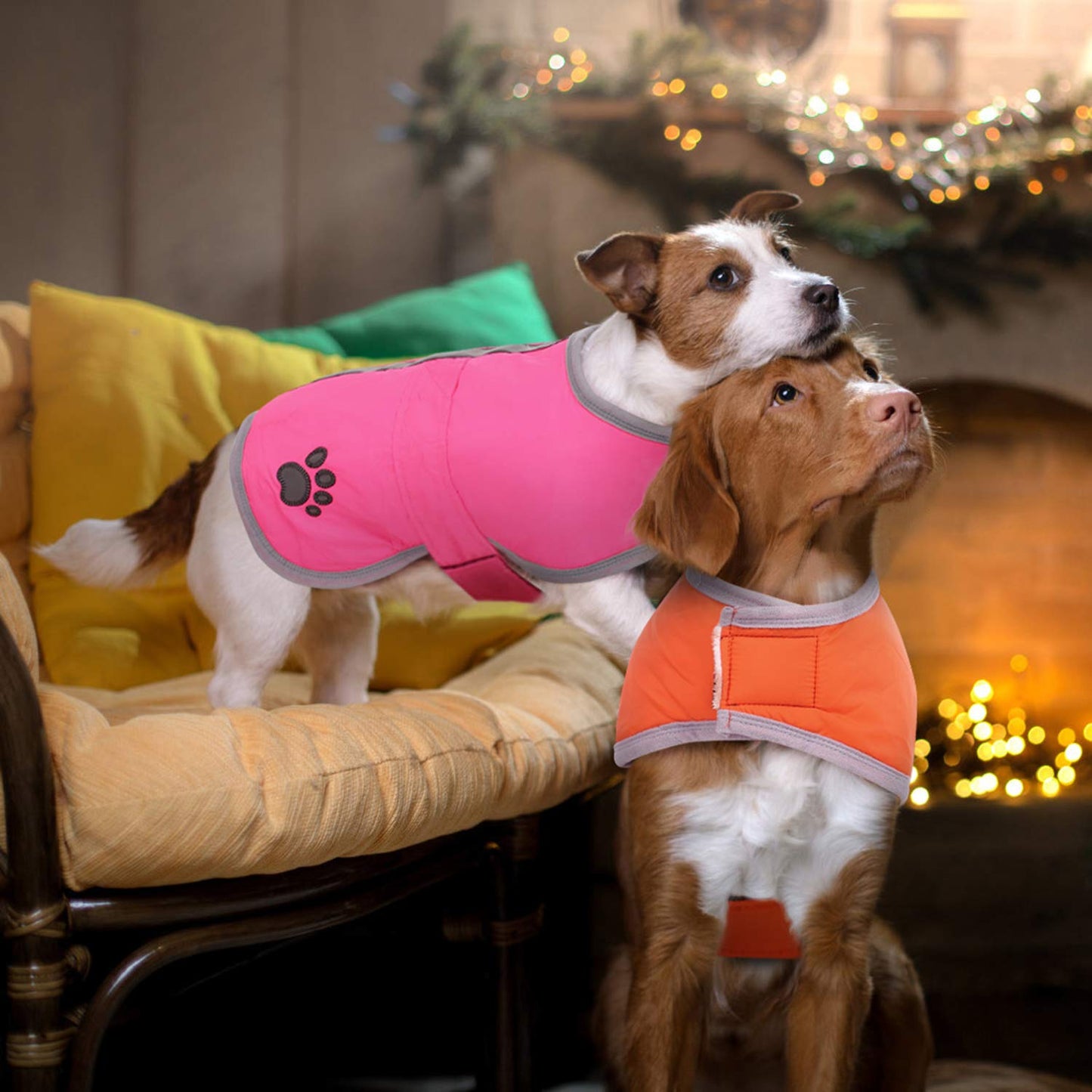 Cold Weather Dog Coat