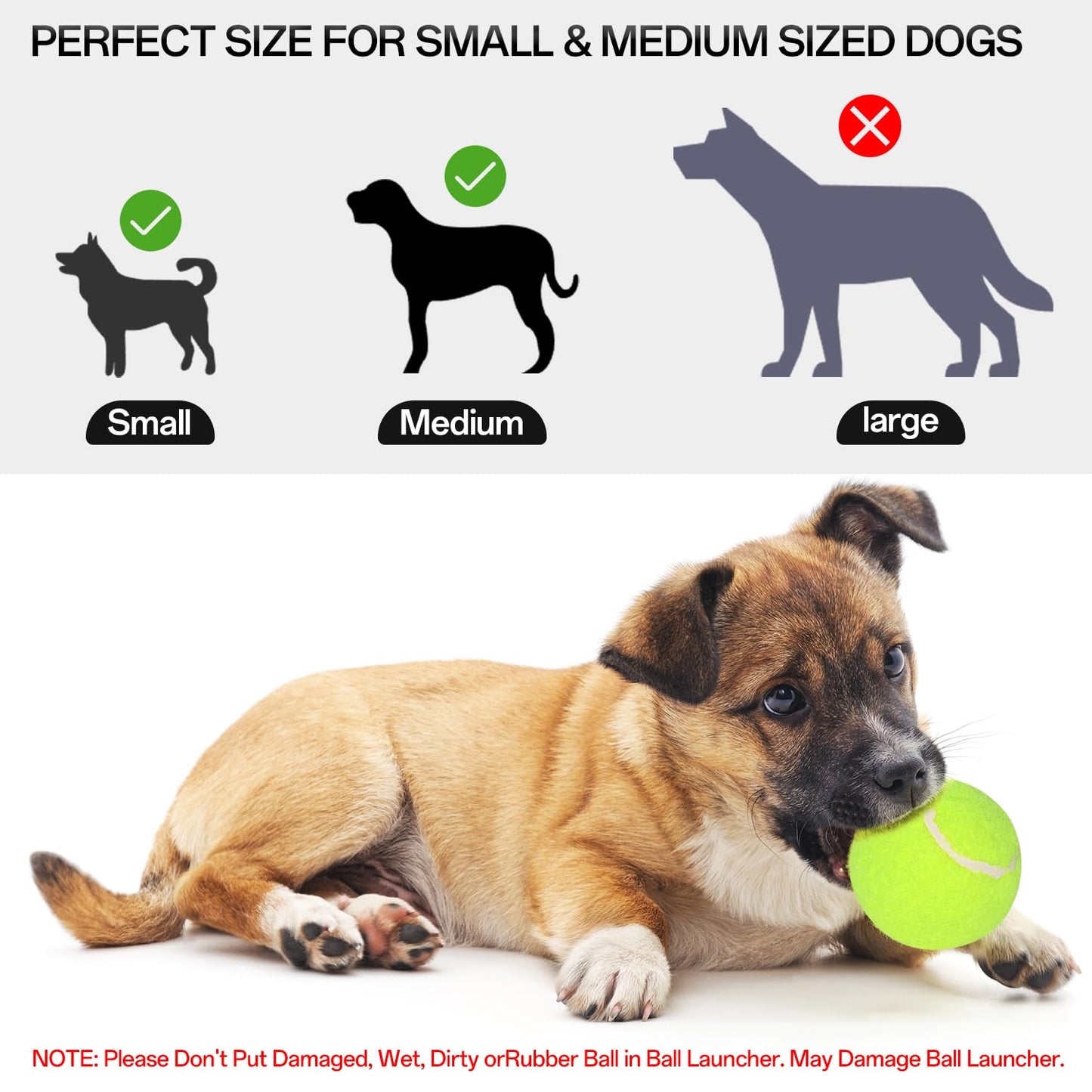 Dog ball launcher