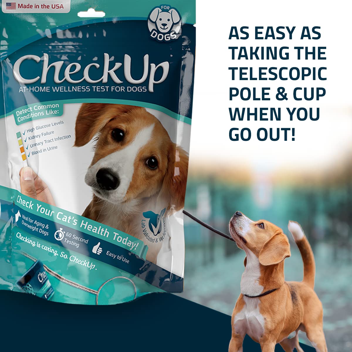 Dog Wellness Test Kit - Home Urine Collection
