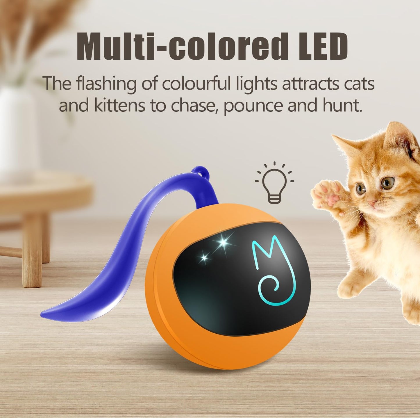 Interactive Cat Toy Set