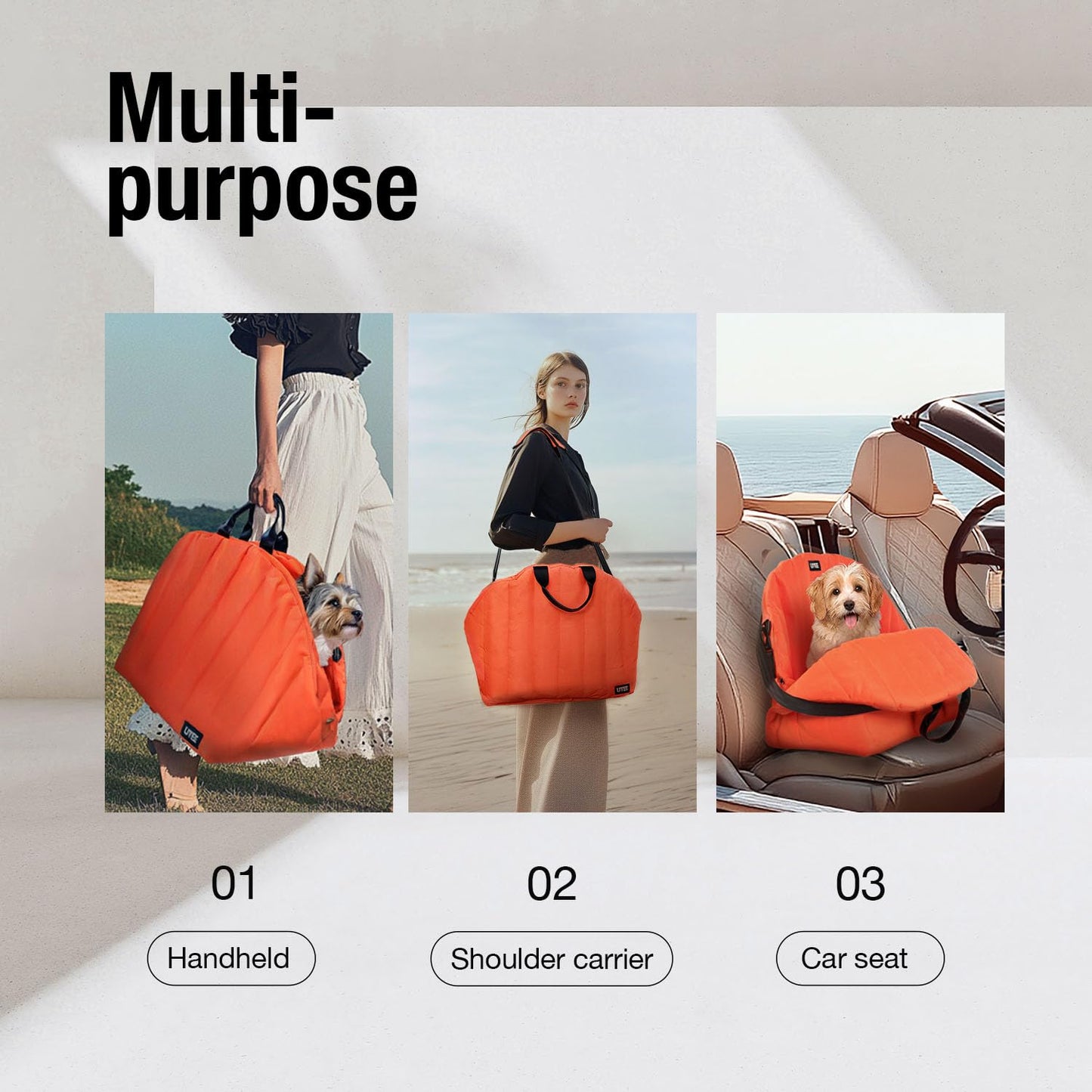 Small Dog Car Seat & Carrier in One