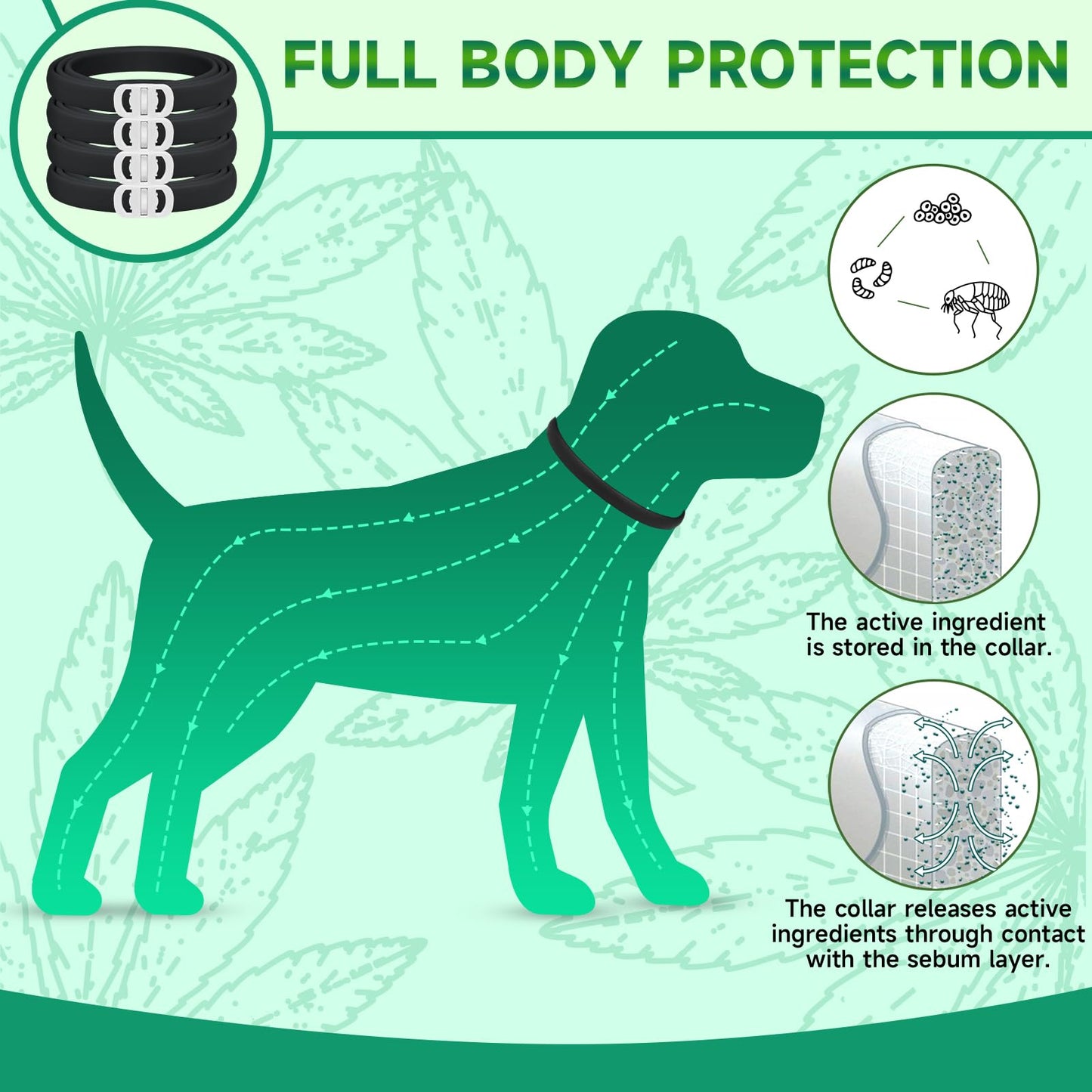 Flea and Tick Prevention for Cats