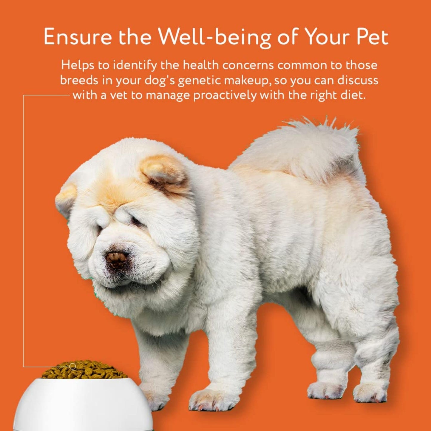 Premium Dog DNA Test - Breed ID & Genetic Age